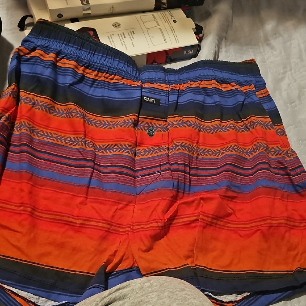 Stance Vibrant Striped Swim Shorts